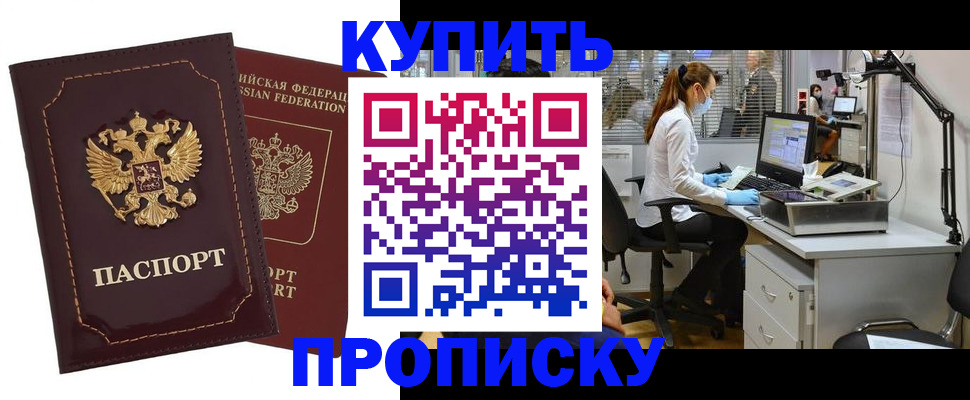 прописка гарантия в Высоковске